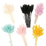 6 bouquets de lagurus séchés multicolores 70 cm