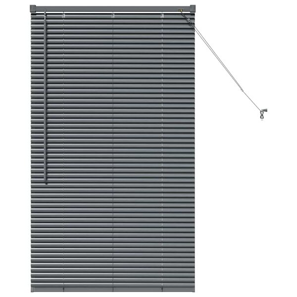 vidaXL Store de Fenêtre avec des rideaux Manuel Gris foncé Aluminium
