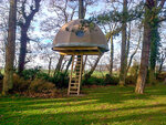 SMARTBOX - Coffret Cadeau - Escapade insolite en cabane dans les arbres en Normandie -