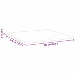 vidaXL Coussins de Matelas Blanc 200 x 200 cm Polyester sans colle