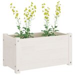 vidaXL Jardinières d'extérieur 2 Pièces Blanc 60x31x31 cm Bois de pin