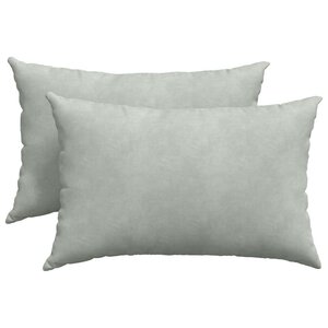 vidaXL Coussins de canapé 2 Pièces Gris clair 60 x 40 cm