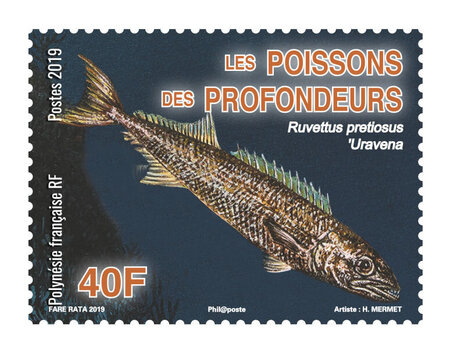 Timbre Polynésie Française - Les poissons des profondeurs - Ruvettus pretiosus - Uravena