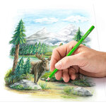 Crayon couleur Design Journey  étui carton de 12 STAEDTLER