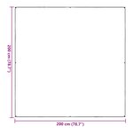 vidaXL Couverture pour plantes Transparent 2 x 2 m PVC