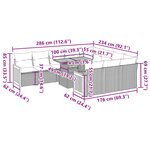 vidaXL Ensemble de canapés de jardin 11 Pièces et coussins rotin acacia