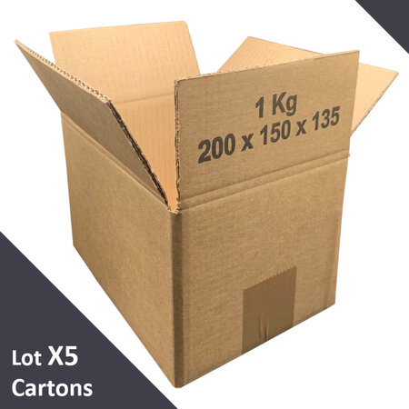 Lot de 5 cartons emballage à double cannelures standard 200 x 150 x 135 mm