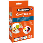 Pigment colorant color'resin 6 coul et 2 flacons vides