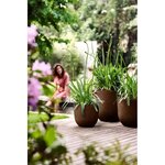 Fuente Lily Rond 38 brun rouillé