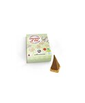 60 pyramides d'encens anti-moustiques 30 min