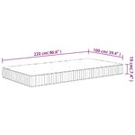 vidaXL Matelas à ressorts ensachés moyen 100x220 cm