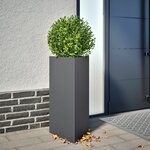 vidaXL Jardinière anthracite triangulaire 40x34 5x70 cm acier
