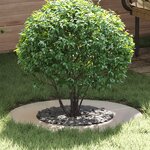 vidaXL Cercle de Jardin Acier inoxydable Grand Résistant Circulaire