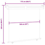 vidaXL Auvent latéral de balcon 175x250 cm noir