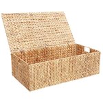 vidaXL Boîte de rangement Naturel 60 x 38 x 20 cm Jacinthe d'eau