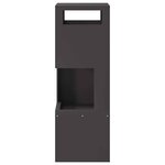 vidaXL Braise Noir 35 x 35 x 100 cm Acier