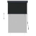 vidaXL Store roulant d'extérieur 100 x 250 cm Anthracite
