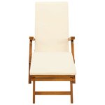 vidaXL Chaise longue inclinable et pliable 2 Pièces 55 x 146 x 91 cm