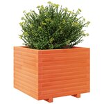 vidaXL Jardinière cire marron 60x60x49 5 cm bois de pin massif