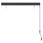 vidaXL Store roulant d'extérieur 140 x 250 cm Anthracite
