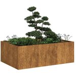 vidaXL Jardinière rouillé 120x80x40 cm acier inoxydable