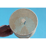 Une boite de net skim pré-filtre jetable pour skimmer - boite 12 pieces