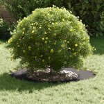 vidaXL adapté pour anneaux d'arbre plats 5 Pièces Noir Ø40 / 70 cm Acier