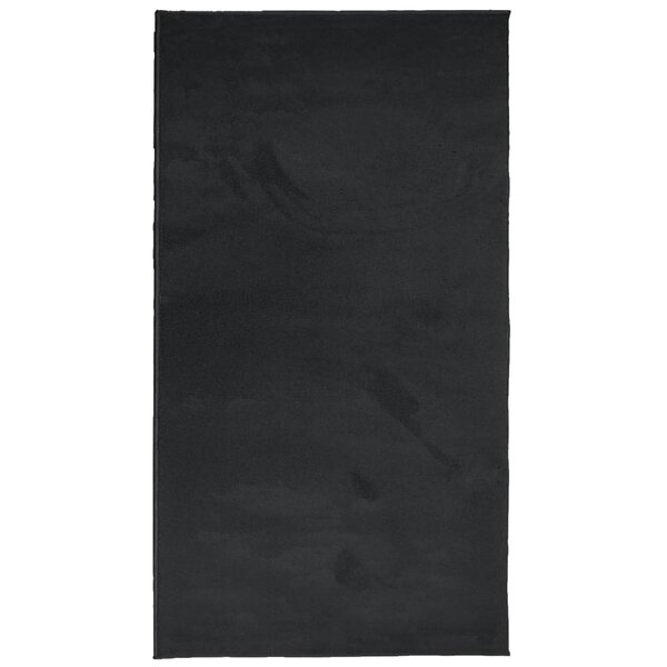 vidaXL Tapis OVIEDO à poils courts noir 60x110 cm