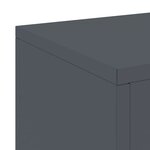 vidaXL Supports pour plantes 2 Pièces Anthracite 24 x 24 x 55 cm Acier