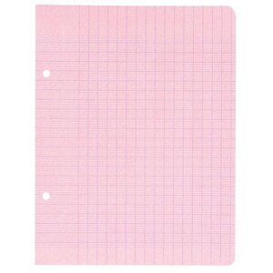 Feuillets mobiles 17x22cm 100p 80g rose CONQUÉRANT