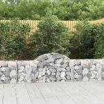 vidaXL Paniers à gabions arqués 40 Pièces 200x30x60/80 cm Fer galvanisé
