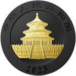 Pièce de monnaie en Argent 10 Yuan g 30 Millésime 2023 PANDA
