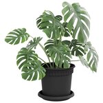 vidaXL Plateau à fleurs rond 24 Pièces Noir Ø 15 5 x 2 cm Plastique