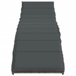 vidaXL Chaises longues lot de 2 avec coussins gris résine tressée