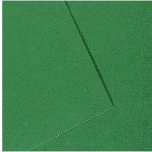 Paquet de 10 feuilles Mi-Teintes CANSON 50 x 65 cm 160 g coloris vert billard