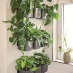 LECHUZA 3 Pièces Jardinières Green Wall Home Kit Anthracite brillant