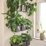 LECHUZA 3 Pièces Jardinières Green Wall Home Kit Anthracite brillant