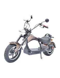 Wegoboard - moto biker (jusqu'à 30 km d'autonomie) -