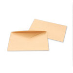 Lot de 100 Enveloppes ELECTIONS 90x140 mm - chamois 75 g