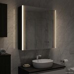 vidaXL Armoire Miroir de Salle de Bain Chêne noir 63 5 x 15 5 x 70 cm