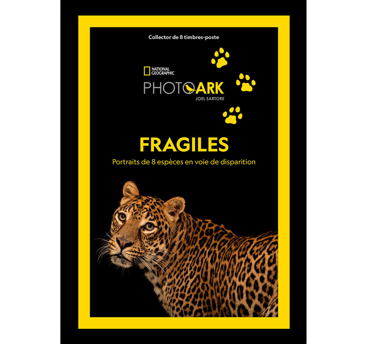 Raccord Coudé 1-1/2" IPS DR11 Jaune - Pour Tuyau D'essence Souterrain Poly (neuf)