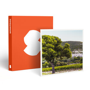 SMARTBOX - Coffret Cadeau Box œnologie : 6 bouteilles de vin rosé livrées à domicile -  Gastronomie