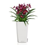 LECHUZA Jardinière Cubico 22 ALL-IN-ONE blanc brillant