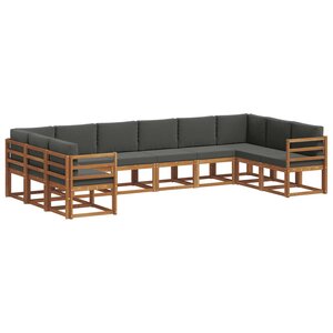vidaXL Ensemble de canapés d'extérieur 10 pc Naturel et Anthracite