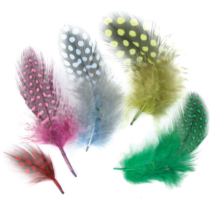 Plumes Assortiment multicolores 10 cm 50 pièces