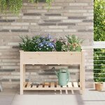 vidaXL Cache-pot de jardin avec étagère Beige 115 x 59 x 76.5 cm