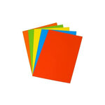 Ramette 250 Feuilles Papier 160g A4 210x297 mm Certifié FSC Assorti Intense TROPHÉE