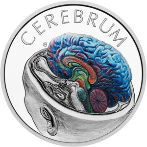 Monnaie BRAIN Human Body 1 Oz Argent 1$ Niue 2026 (PRÉCOMMANDE)