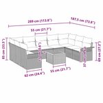 vidaXL Ensemble de canapé de jardin 10 Pièces Noir  Crème 55 x 55 x 37 cm