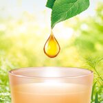 Désodorisant Bougie Essential Oils Elixir Oriental AIR WICK